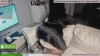 MissPeabody capture