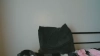 Capture at 2025-10-10 17:08:31