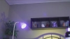 Capture at 2025-10-24 02:41:29
