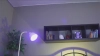 Capture at 2025-10-24 02:42:29