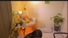 Capture at 2025-10-15 15:49:00