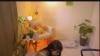 Capture at 2025-10-15 16:03:40