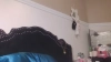 Capture at 2025-10-15 07:44:07