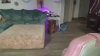 NalaFalon @NalaFalon webcam capture — Ample, Black hair, Hazel eyes, Native American, Bisexual — tags: bigtits, curvy, brunette, prettyface, newmodel, gfe, Striptease, c2c, spanking, flash, latina, heels, princess, dancing, natural, fun, pretty, boobs, bigboobs, sexy eyes, talkative, thick, hispanic, seductive, beautiful, sexy dance, strip dance, elegant, friendly, food, hot, sexy