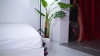 Capture at 2025-10-18 10:06:13