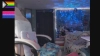 NerdySuccubi @NerdySuccubi webcam capture — Average, Multi hair, Brown eyes, Caucasian, 29 yrs, Bisexual — tags: cosplay, tattoos, piercings, nice ass, curvy, masturbation, tight, naked, squirter, cute, small tits, kinky, submissive, switch, sexy, student, petite, alternative, fetish, thick, american, foot fetish, nerd, role play, freak, sph, spank, joi, cei, gamer, vibrator, fingering