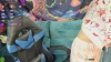 Olisa_Fox @Olisa_Fox webcam capture — Slim/Petite, Blonde hair, Green eyes, Other, 21 yrs, Bisexual — tags: young, sweet, natural, shaved, funny, horny, friendly, naughty, toys, smart, new, dancer, cum, private, bisexual, play, romantic, shy, striptease, private show, small, small boobs, talk, dirtly talk, vibrator, lovense, dominant, panties, newmodel, college girl, intelligent, sexy