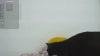 Olivia_777 @Olivia_777 webcam capture — Large, Blonde hair, Hazel eyes, 26 yrs, Bisexual — tags: Big Tits, Curvy, Natural, Big booty, long hair, Toys, lovense, gagging, Orgasm, Squirt, naked show, blowjob, Spanking, Latina, Dirty talk, Bdsm, smoking, shaved, cam2cam, Oil show, Cameltoe, newmodel, hot girl, Pov, deepthroat, blowjob, Tits job, Sloopy blowjob, Flirting, Twerking, Private show, Role play