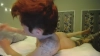 PRITTYPRNCSS @PRITTYPRNCSS webcam capture — Athletic, Always Different hair, Hazel eyes, Caucasian, 35 yrs, Bisexual — tags: Smoking, Nipple Piercings, Friendly, nude, Tattoos, Kink, Sex toys, Lush, Sexy legs, Wet pussy, Dripping, Bisexual, Naughty girl, Fuckable, Anal, Toys, Ass, New, Blonde, Tits, Lovense, Private Show, Short hair, Pierced nipples