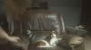 Capture at 2025-10-11 04:08:04