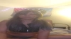 Capture at 2025-10-16 02:21:41