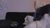 Phoenix_xx @Phoenix_xx webcam capture — Black hair, Brown eyes, 25 yrs, Bisexual — tags: latina, naughty, playful, funny, natural, erotic, lush, hot, tattos, dirty talk, tease, friendy, shaved, kinky, sexy, roleplay, masturbation, Oral, hot ass, sexy legs, girlfriend, spankss, tender, sexy smile, striptease, natural tits, dancer, cam2cam, feets, cum show, flexible, mysterious