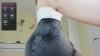 Capture at 2025-10-15 15:59:29