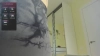 Capture at 2025-10-15 16:02:48