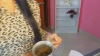 Capture at 2025-10-16 05:48:29