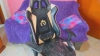 Pinkygirl20 @Pinkygirl20 webcam capture — Straight — tags: young, cute, sweet, hot, natural, sexy, tattoo, skinny, colombian, latina, anal, pussy, toys, lush, new, ass, cute, funny, smile, 18, teen, slut, long hair, squirt, natural tits