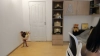 Capture at 2025-10-15 00:42:26