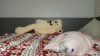 Capture at 2025-10-14 21:34:11