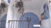 Queensass1 @Queensass1 webcam capture — Slim/Petite, Black hair, Brown eyes, Other, 27 yrs, Straight — tags: latina, tanned, sexy, natural, bisexual, yoga, funny, cute, lingerie, hairy, nice ass, anal, tattoos, young, new model, amateur, squirt, masturbate, toys
