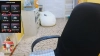 Capture at 2025-10-14 05:36:33