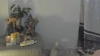 Capture at 2025-10-16 14:38:06