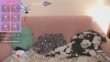 Capture at 2025-10-16 01:24:49
