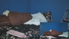 RuinedByRixy @RuinedByRixy webcam capture — Slim/Petite, Brown hair, Hazel eyes, Caucasian, 20 yrs, Bisexual — tags: petitie, smalltits, hairypussy, amateur, brunette, Footfetish, Domme, findom, bigeyes, sweeteyes, femdom, good music, hot, feet, natural boobs, smoke, tiny, lovesnse, allnatural, longhair, private, schoolgirl, pretty face, nice pussy, pink nipples, big pussylips, tattoos, hot girl, cei, toes, toys, young
