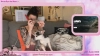 Rylandbaby @Rylandbaby webcam capture — Slim/Petite, Green eyes, 35 yrs, Bisexual — tags: dirty talk, bush, bossy, roleplay, natural, funny, tattooed, natural tits, smile, nails, gamer, makeup, spanking, pale, princess, brunette, thin, naughty, book worm, nerd, stoner, 420, glasses, sensual, striptease