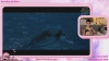 Rylandbaby @Rylandbaby webcam capture — Slim/Petite, Green eyes, 35 yrs, Bisexual — tags: dirty talk, bush, bossy, roleplay, natural, funny, tattooed, natural tits, smile, nails, gamer, makeup, spanking, pale, princess, brunette, thin, naughty, book worm, nerd, stoner, 420, glasses, sensual, striptease