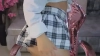 Capture at 2025-10-15 03:13:27
