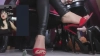 SaraBDSM @SaraBDSM webcam capture — Little in the middle, Black hair, Brown eyes, Hispanic, 37 yrs, Bi-curious — tags: ass, mistress, fetish, feet, balloons, wax, longnails, deepthroat, heels, joi cei, strapon, kinky, anal, ballgag, bdsm, c2c, clamps, domination, chains, leather, gloves, spank, whip, bondage, handscuffs, pvt, squirt, nipples, doublepenetration, pantyhose, smoke, skype