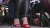 SaraBDSM @SaraBDSM webcam capture — Little in the middle, Black hair, Brown eyes, Hispanic, 37 yrs, Bi-curious — tags: ass, mistress, fetish, feet, balloons, wax, longnails, deepthroat, heels, joi cei, strapon, kinky, anal, ballgag, bdsm, c2c, clamps, domination, chains, leather, gloves, spank, whip, bondage, handscuffs, pvt, squirt, nipples, doublepenetration, pantyhose, smoke, skype