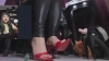 SaraBDSM @SaraBDSM webcam capture — Little in the middle, Black hair, Brown eyes, Hispanic, 37 yrs, Bi-curious — tags: ass, mistress, fetish, feet, balloons, wax, longnails, deepthroat, heels, joi cei, strapon, kinky, anal, ballgag, bdsm, c2c, clamps, domination, chains, leather, gloves, spank, whip, bondage, handscuffs, pvt, squirt, nipples, doublepenetration, pantyhose, smoke, skype