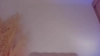 Sara_gwen @Sara_gwen webcam capture — Straight — tags: sikky, latina, cute, braces, anal, squirt, cum, lush, lovense, feet, fetish, 18, teen, vaquera, machine, ass, pussy, fuckpussy, orgasm, masturbation, tits, stockings, lingerie, blowjob, naturalboobs, shaved, horny, young, sexy, ass, beautiful, new