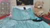 Sarait_24 @Sarait_24 webcam capture — Average, Black hair, Brown eyes, 35 yrs, Straight — tags: natural, hot, cum, pussy, dildo, natural tits, squirt, nice ass, toys, latina, ass, new model, masturbation, play anal, nice  smile, squirt, sexy feet, dance, lovense, 2c2, vibrator, oil show, private  show, colombian, milf, single, fuckmachine, doggy, public show, love, different, zoom  pussy
