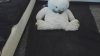 Capture at 2025-10-12 23:59:50