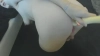 Capture at 2025-10-13 23:31:40