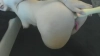 Capture at 2025-10-13 23:35:06