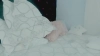SexyAlexaX @SexyAlexaX webcam capture — Brown hair, Hazel eyes, Hispanic, 103 yrs, Straight — tags: sexy, shaved, sweet, bisexual, young, natural, ass, masturbation, ohmibod, bisexual, pussy, tits, natural tits, kinky, squirt, teen, dance, roleplay, erotic, cam2cam, orgasm, sexyalexa, bdsm, bondage, latin, latina, vibrator, colombia, fetish, cum, horny, lovense