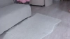 Capture at 2025-10-25 04:38:00