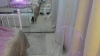 Capture at 2025-10-13 21:10:50