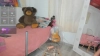 Capture at 2025-10-21 09:47:17