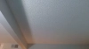 Capture at 2025-10-15 03:43:36