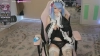 Capture at 2025-10-15 05:33:32