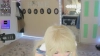 Shellybeans @Shellybeans webcam capture — Brown hair, Brown eyes, 25 yrs, Straight — tags: cute, young, sweet, toys, Kitty, Tattoo, Smoke, Shaved, Gamer, Goth, Pale, Punk, Girly, School girl, Pink pussy, Open minded, Submissive, Bdsm, Smile, Long hair, Kiss, Cum, Deepthroat