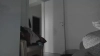 Capture at 2025-10-16 02:41:43