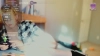 Capture at 2025-10-12 21:03:16