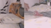 Capture at 2025-10-17 21:47:43