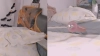 Capture at 2025-10-17 22:24:13