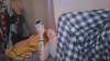 Capture at 2025-10-13 05:38:30